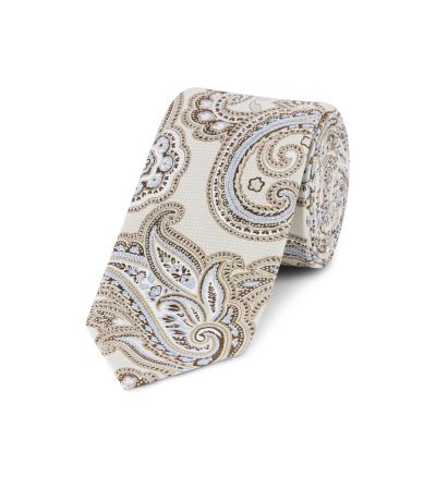 Cream / Blue Paisley Silk Tie
