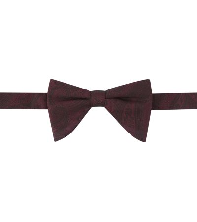 Wine Paisley Bow Tie & Pocket Square