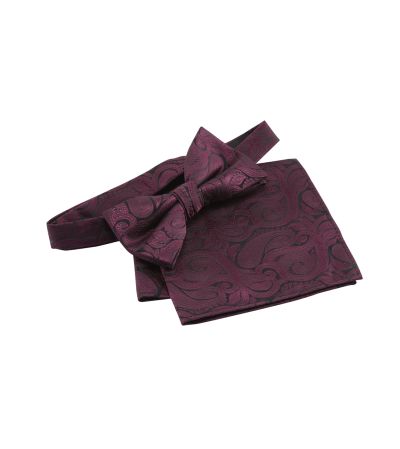 Bow Tie and Pocket Square Wine Paisley