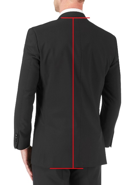 Regular Fit Suit Jackets / Blazers (back)